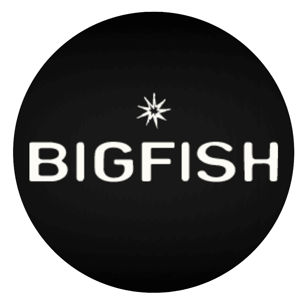 BIGFISH แบรนด์ดิ้งเอเจนซี่ รับทำแบรนด์ & รับออกแบบโลโก้และเว็บไซต์