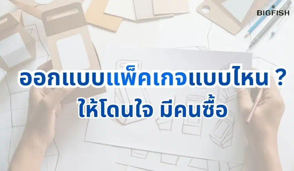 BIGFISH แนะนำวิธ๊ ออกแบบแพ็คเก็จ ให้น่าสนใจ